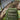 #color_forest-green