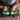 #color_forest-green